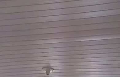 Imagem 7: Alugo casa de dois cômodos 750 Reais, Vila Iza Carapicuíba