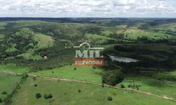 Imagem 7: Fazenda 142 alqueires (687 hectares) Cocalzinho de Goiás - GO