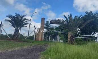 Imagem: Casa - Centro - Meridiano