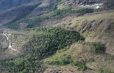 Imagem 3: Excelente gleba BARATO . 1408 há para compensação AMBIENTAL, preservação ou ecoturismo