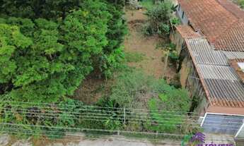 Imagem 5: AREA - ALVINÓPOLIS - SP