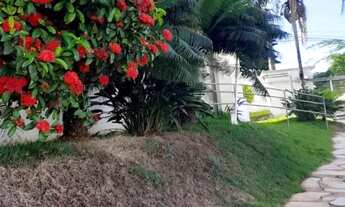 Imagem: Aluga apartamento 3 quartos