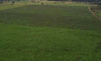 Imagem 2: Fazenda a venda em Itapirapuã - Goiás!!!