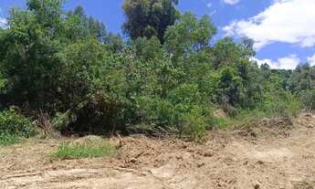 Imagem 6: Terrenos 1000 m² para viver com mais conforto e liberdade