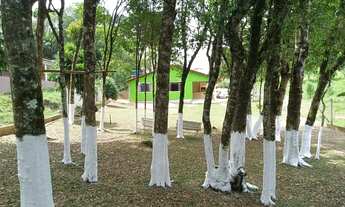 Imagem 2: Chácara 3 mil metros