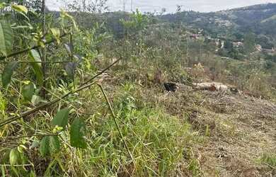 Imagem: TERRENO DE 1000M EM SAO ROQUE POR APENAS