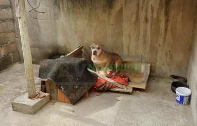 Imagem 2: RV-MAR5485 EXELENTE CASA AMPLA ZONA NORTE