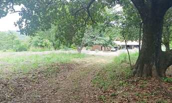 Imagem 7: Chácara cai Saras água limpa Goiás Pirenópolis