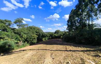 Imagem: Área rural 23.373m² Balsa Nova- 3Km Rod