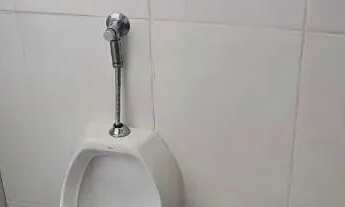 Imagem 5: Galpão São Cristóvão