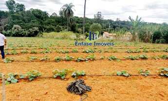 Imagem 3: Terreno com nascente e água corrente em Igarapé