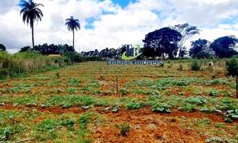 Imagem 5: Terreno com nascente e água corrente em Igarapé