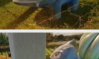 Imagem 6: Aproveite Lindo Imóvel - Casa das Araras - Chapada dos Guimarães - 04 Quartos c/ piscina