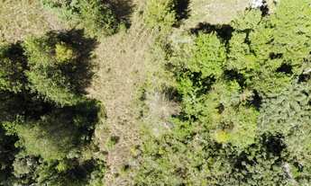 Imagem: Terreno à Venda na Região do Vale Encantado