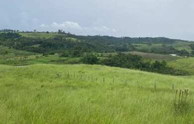 Imagem 6: G17- lotes com topografia plaina