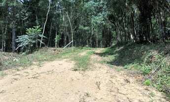Imagem 7: Ótima oportunidade bela chácara no bairro campestre em Tijucas do sul PR