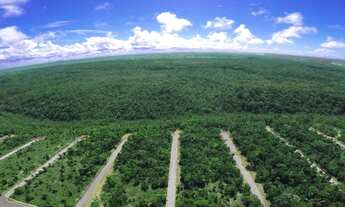 Imagem 3: Lotes em Porto Seguro Bahia