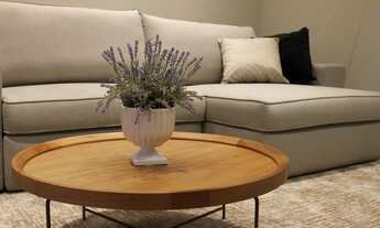 Imagem 2: FLORIANóPOLIS - Padrão - Centro