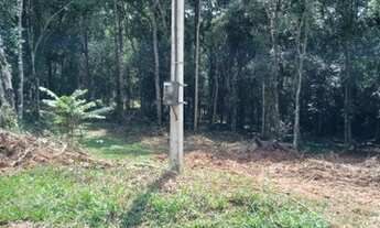 Imagem 6: Ótima oportunidade bela chácara no bairro campestre em Tijucas do sul PR