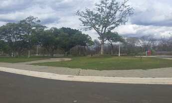 Imagem 2: Lote em M.claros