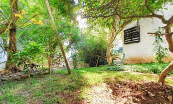 Imagem 6: Casa incrível com 350 m2 de terreno e um belo jardim, uma raridade pelo valor que se encon