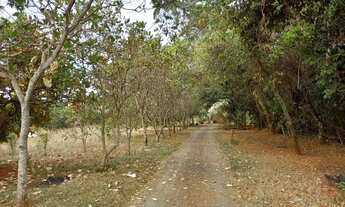 Imagem 2: Chácara Chácara com venda por R$650.000