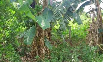 Imagem 7: Excelente chácara em Aragoiânia - 7.993 m²