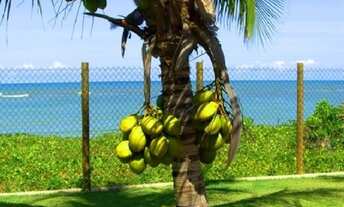 Imagem 2: Apartamento Casa com 2 dormitórios