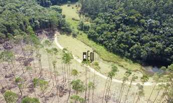 Imagem 6: Fazenda 107ha em Silverânia-MG!!!