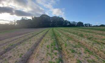 Imagem 3: MD - economize terrenos cotia!