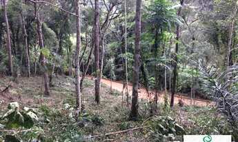 Imagem 3: EXCELENTE TERRENO EM CONDOMÍNIO NA TERESÓPOLIS FRIBURGO