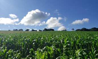 Imagem 5: 3 Alqueires em Monte Sião - MG 100% Mecanizavel, Vista para as Montanhas
