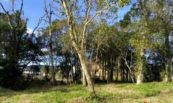 Imagem 2: Terreno para Venda em Nova Petrópolis, Pousada da Neve