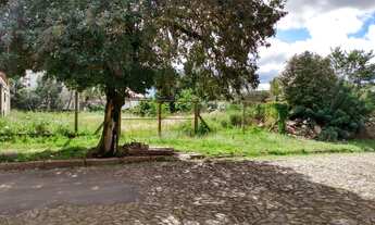 Imagem 5: PORTO ALEGRE - Terreno Padrão - CRISTO REDENTOR