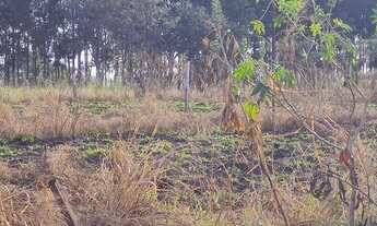 Imagem: Área Comercial/Residencial