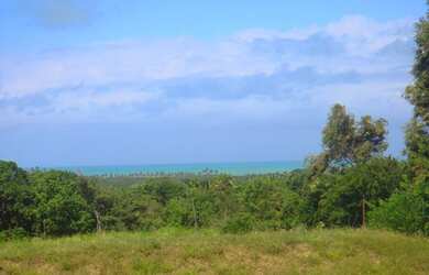 Imagem 3: Fazenda/Sítio/Chácara para venda com 100000 metros quadrados em Praia Bela - Pitimbu - PB
