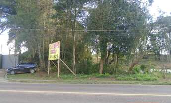 Imagem 3: Terreno Santa Candida