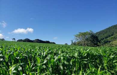 Imagem 6: 3 Alqueires em Monte Sião - MG 100% Mecanizavel, Vista para as Montanhas