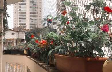 Imagem 6: Alugo apartamento grande espaçoso ,150 metros do parque da aclimação