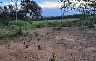Imagem 4: Chácara em Anápolis 10 mil de entrada 16 km do daia