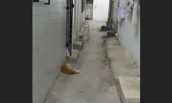 Imagem: CASA PRA VENDER NA IPUTINGA TODA NA CERÂMICA