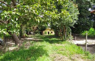 Imagem 2: Chácara Povoado Muquem / MG