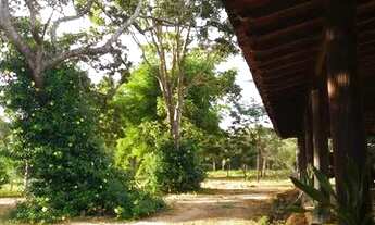 Imagem 5: Sítio 39 hectares