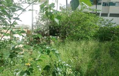 Imagem 2: Terreno 420 m2 - Centro - N. Iguaçu