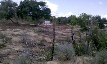 Imagem 2: Vendo Lotes em Pium RN