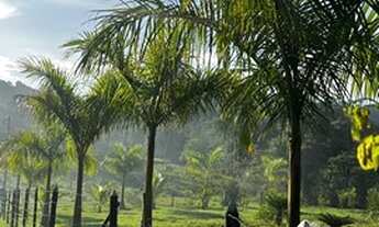 Imagem 6: Granja Goianá Chácara com venda por R$129.000