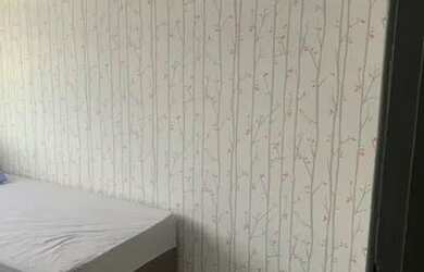 Imagem 4: Alugo quarto para moças