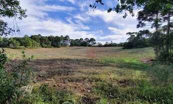 Imagem: Sítio no bairro Vila Oliva em Caxias do