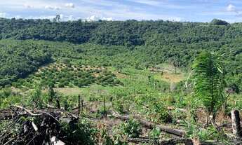 Imagem: Terreno 50x50m - Ramal do Pimenta