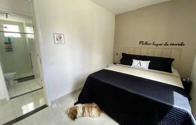 Imagem 5: Aluguel apartamento